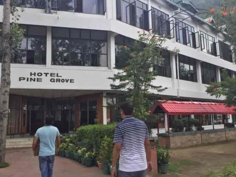 Hotel Pine Grove Restaurants In Solan Justdial