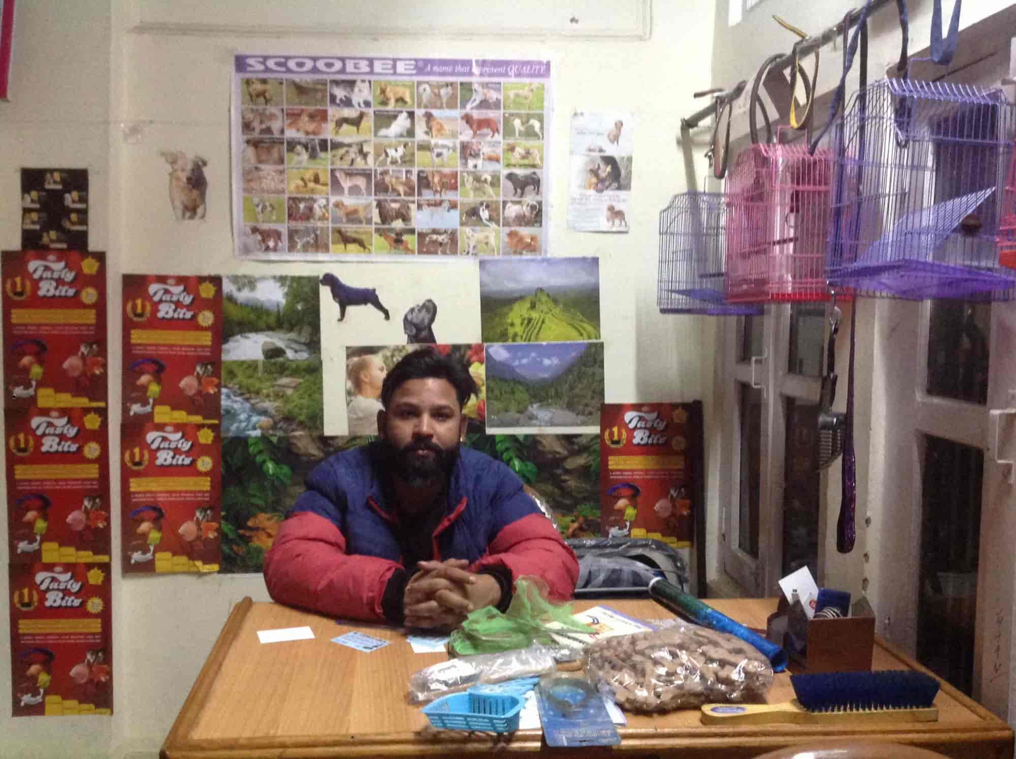 Top Dog Grooming in Solan - Best Dog Parlours - Justdial