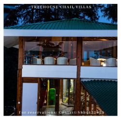 Treehouse Chail Villas Chail Hotels In Solan Justdial