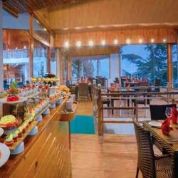 Treehouse Chail Villas Chail Hotels In Solan Justdial