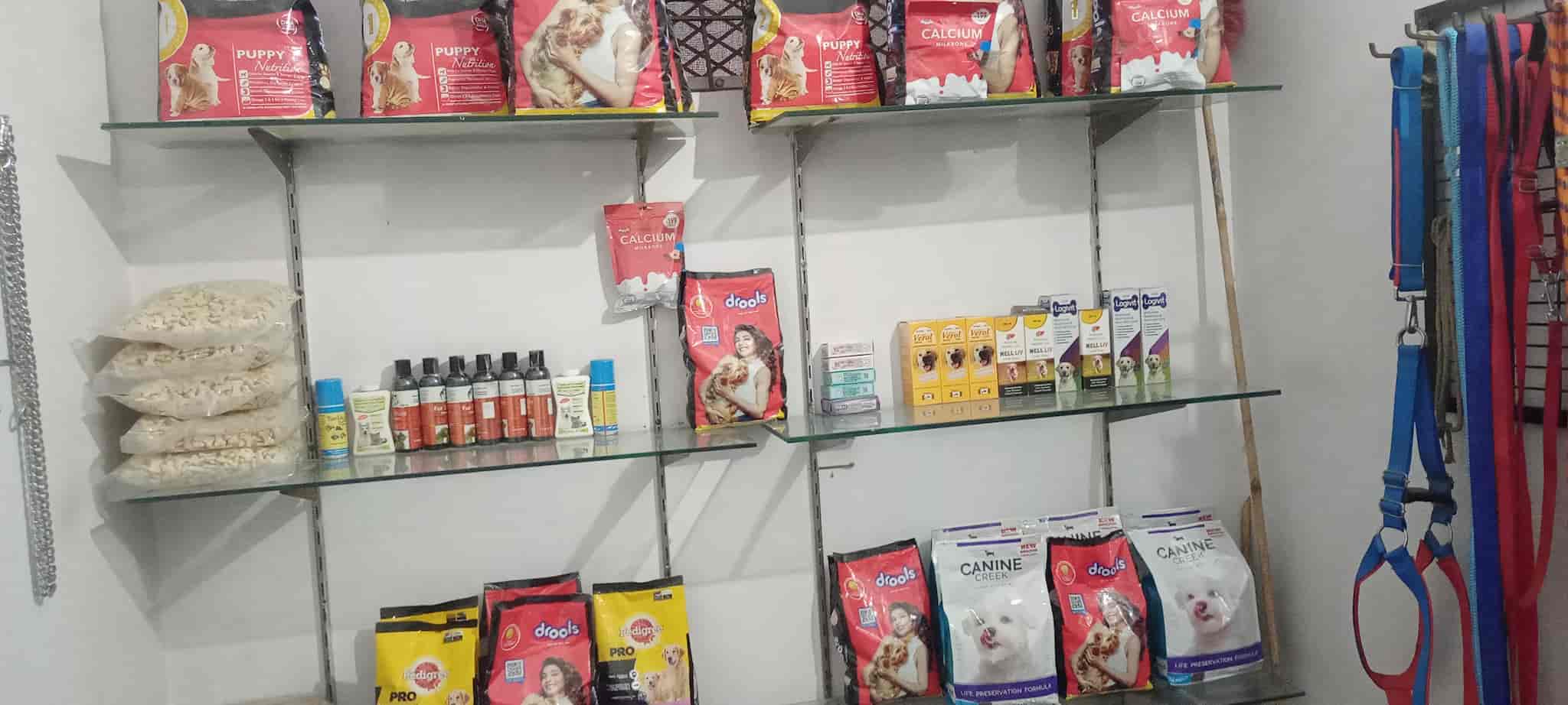 Top Pet Shops in Sonepat Best Pet Store near me Justdial