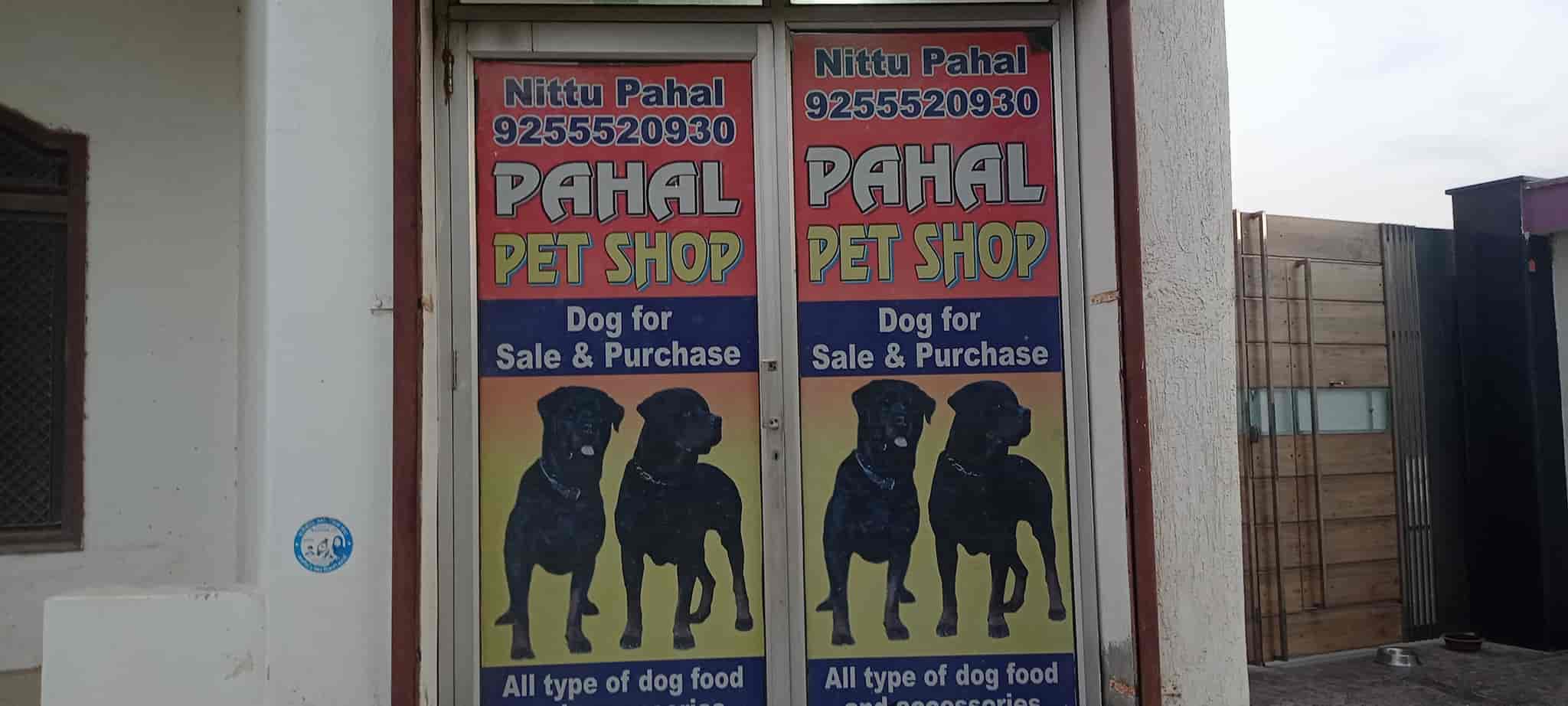 Top Pet Shops in Sonepat Best Pet Store near me Justdial