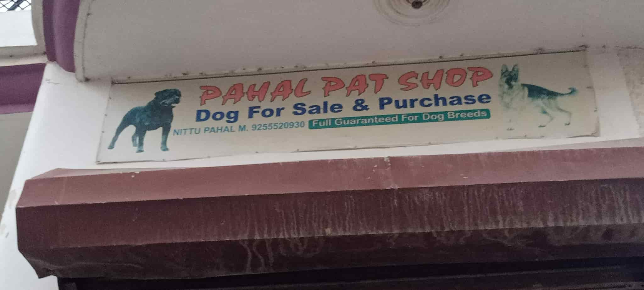 Top Pet Shops in Sonepat Best Pet Store near me Justdial