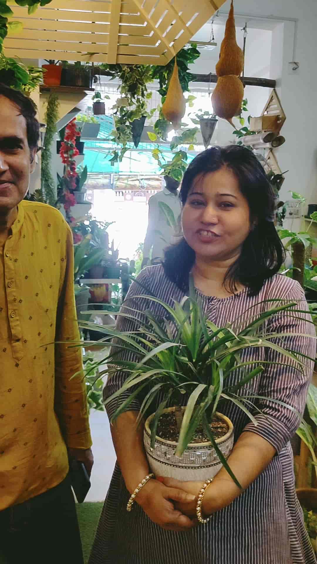 Top Abana Homes Plant Nurseries in Delhi Best Abana Homes Plant