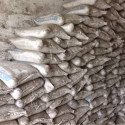 corpo da palestra surya