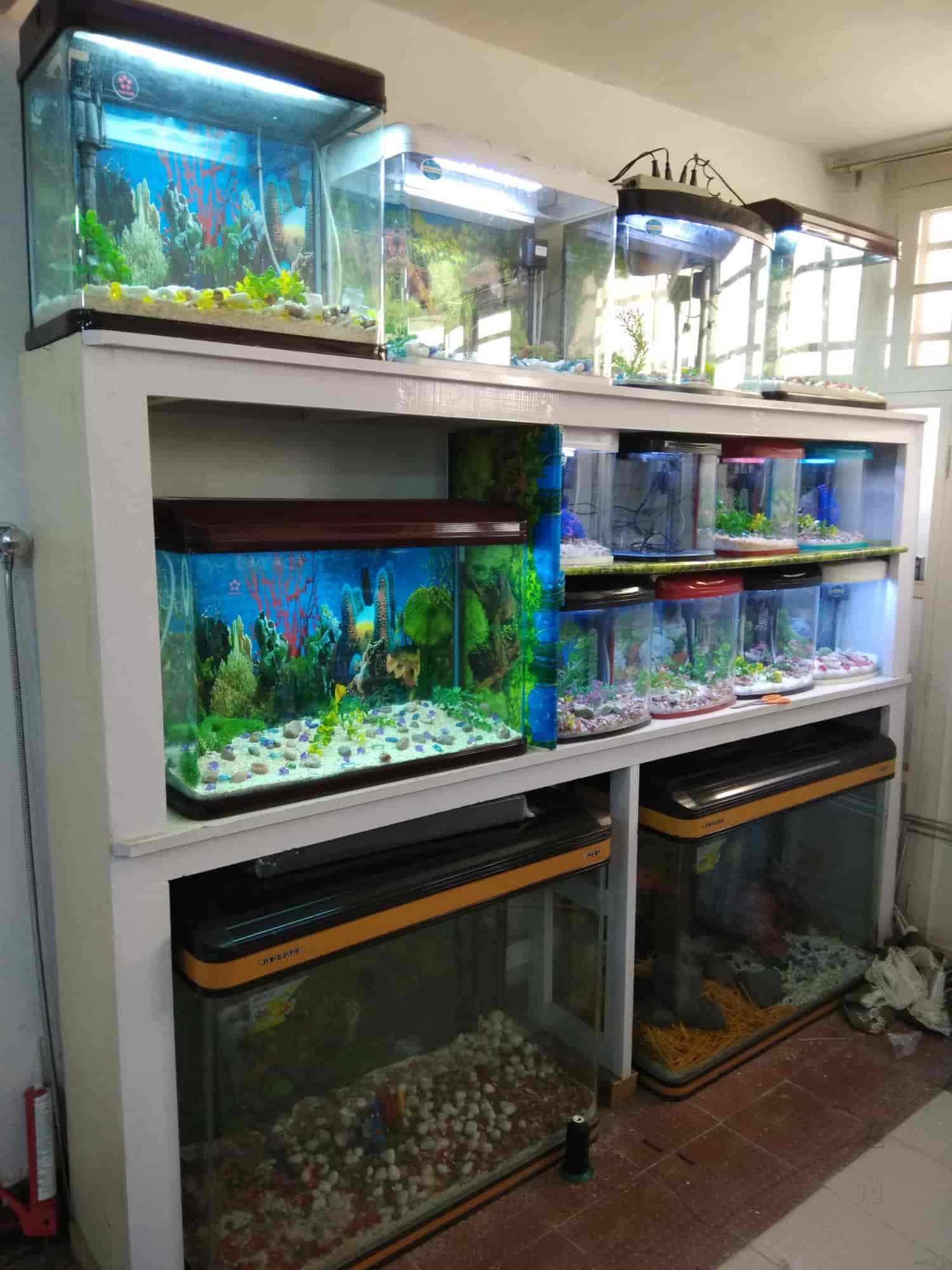 wooden double dog kennel