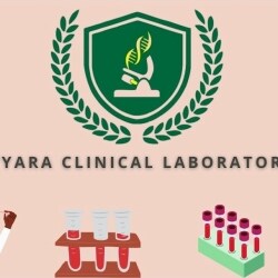 Lab view 11