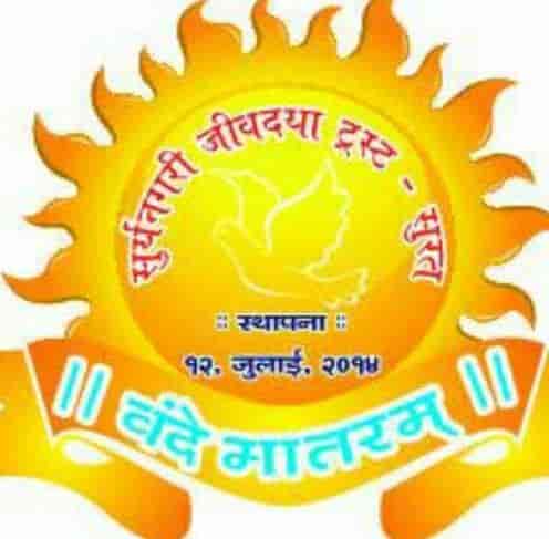 Top 10 Animal Welfare Organisations In Adajan Road Best Ngos For Animal Welfare Surat Justdial