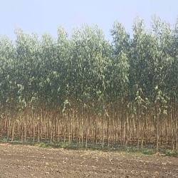 Slide 2 Image of Umiya Travels Matavadi Circle Opposite Matavadi Polish Chowki Varachha Road, Surat Slide 2 Image of Umiya Travels Matavadi Circle Opposite Matavadi Polish Chowki Varachha Road, Surat