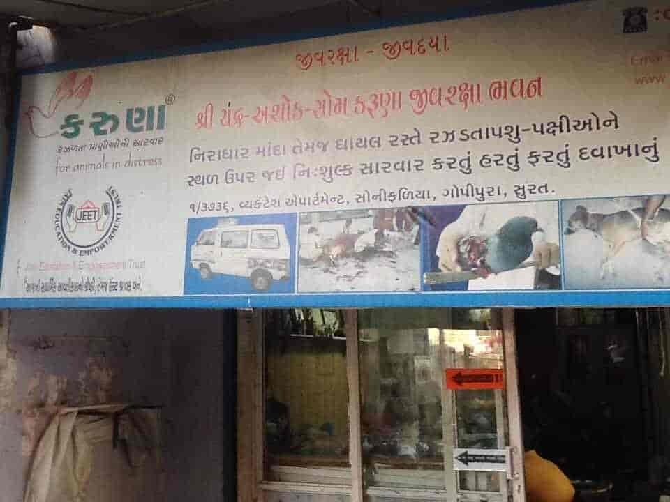 Karuna Ngo in Gopipura,Surat - Best Wildlife Rescue Services in Surat - Justdial Karuna Ngo in Gopipura,Surat - Best Wildlife Rescue Services in Surat - Justdial