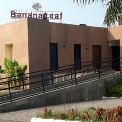 Yetuk striptizchi porno videolar