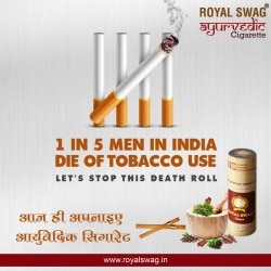 biodegradable cigarette filters australia Biodegradable Filter Tips
