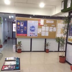 english ielts course online