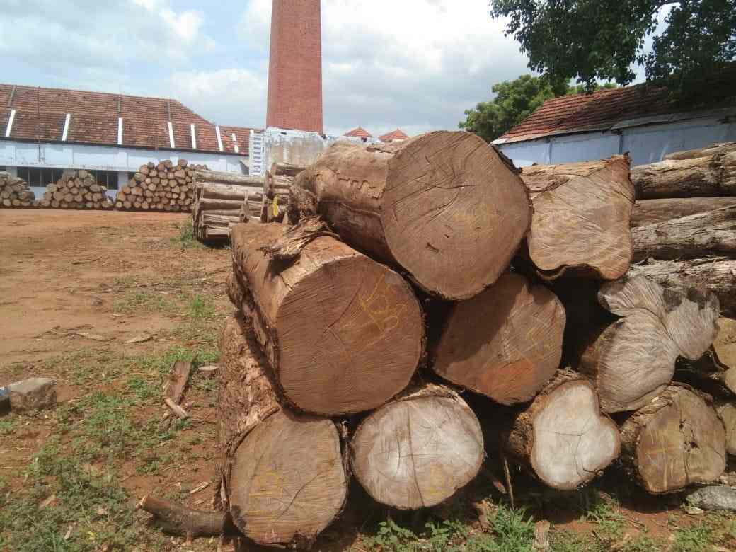 M.K.V.K Timber Industries, Pavoorchatram Timber Dealers in Tenkasi Justdial