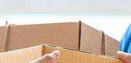 Shruti Express Domestic & International Courier Services in Thane West, Mumbai