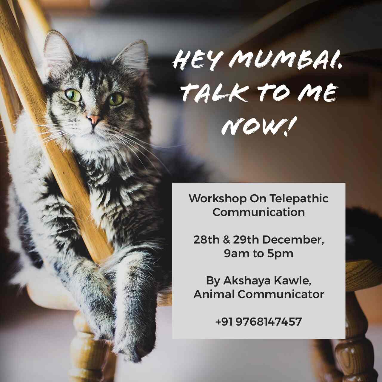 Animal Communication By Akshaya in Thane West,Mumbai Best Pet Shops