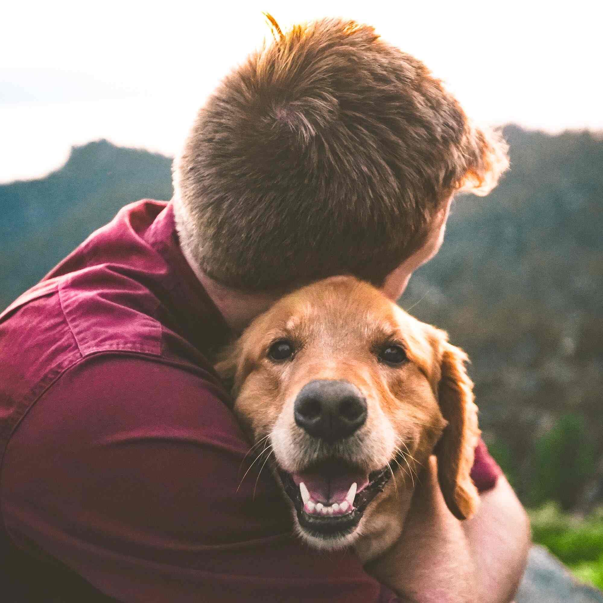 Animal Communication By Akshaya in Thane West,Mumbai - Best Pet Shops in Mumbai - Justdial Animal Communication By Akshaya in Thane West,Mumbai - Best Pet Shops in Mumbai - Justdial