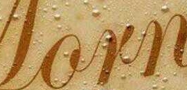 Justice Bakes in Ghodbunder Road, Mumbai