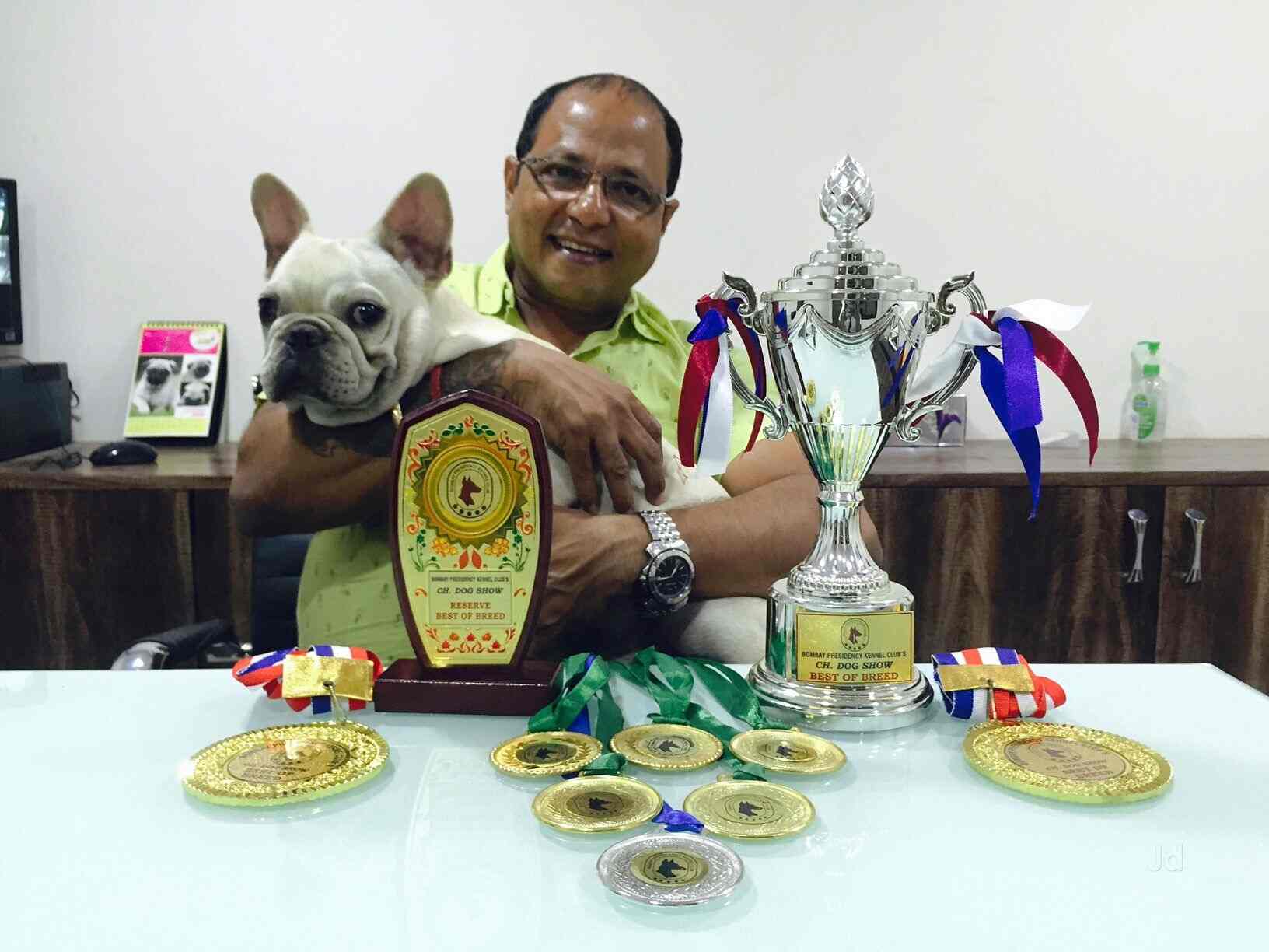 dog kennel solutions