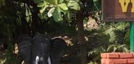 Pali Village Resto Bar in Mira Road, Mumbai