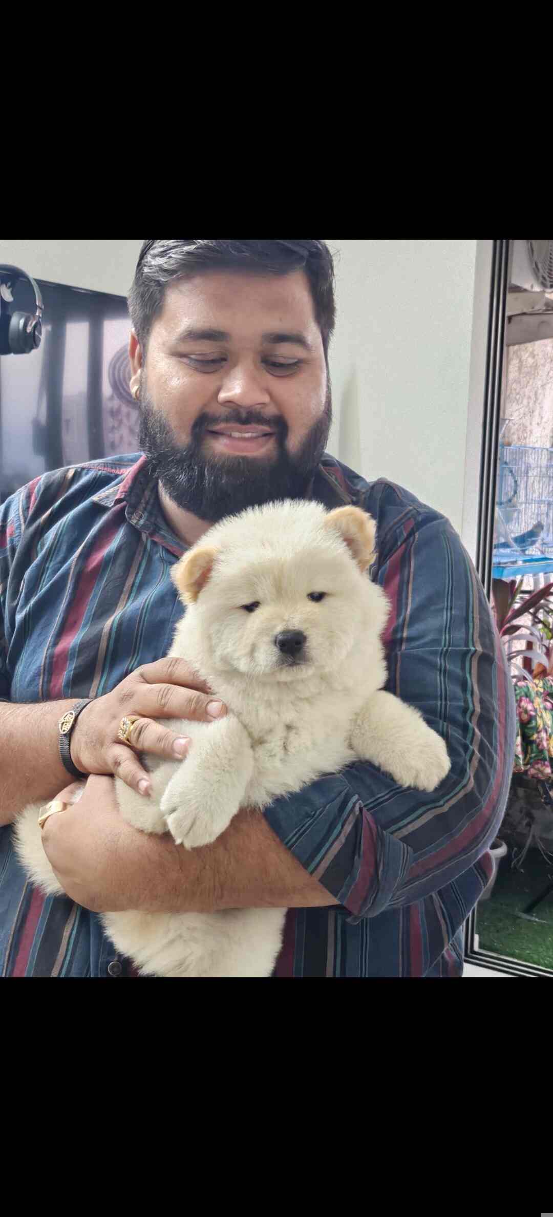 Paws N Claws, Kharghar Sector 35 Pet Care Takers in Navi Mumbai