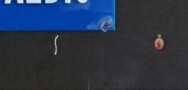 Rajanigandha Hospital in Dombivli East, Mumbai