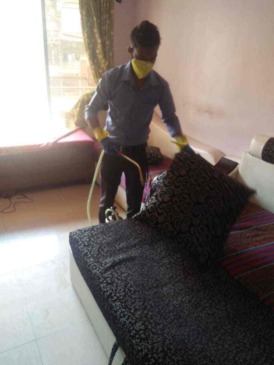 Find list of Sai Jyot Pest Control Service in Dadar West, Mumbai near