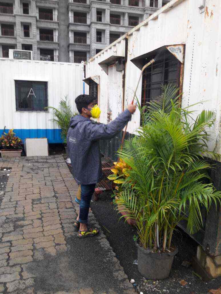 Find list of Sai Jyot Pest Control Service in Dadar West, Mumbai near