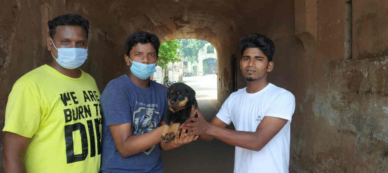 Top Pet Shops in Thanjavur Best Pet Store near me Justdial