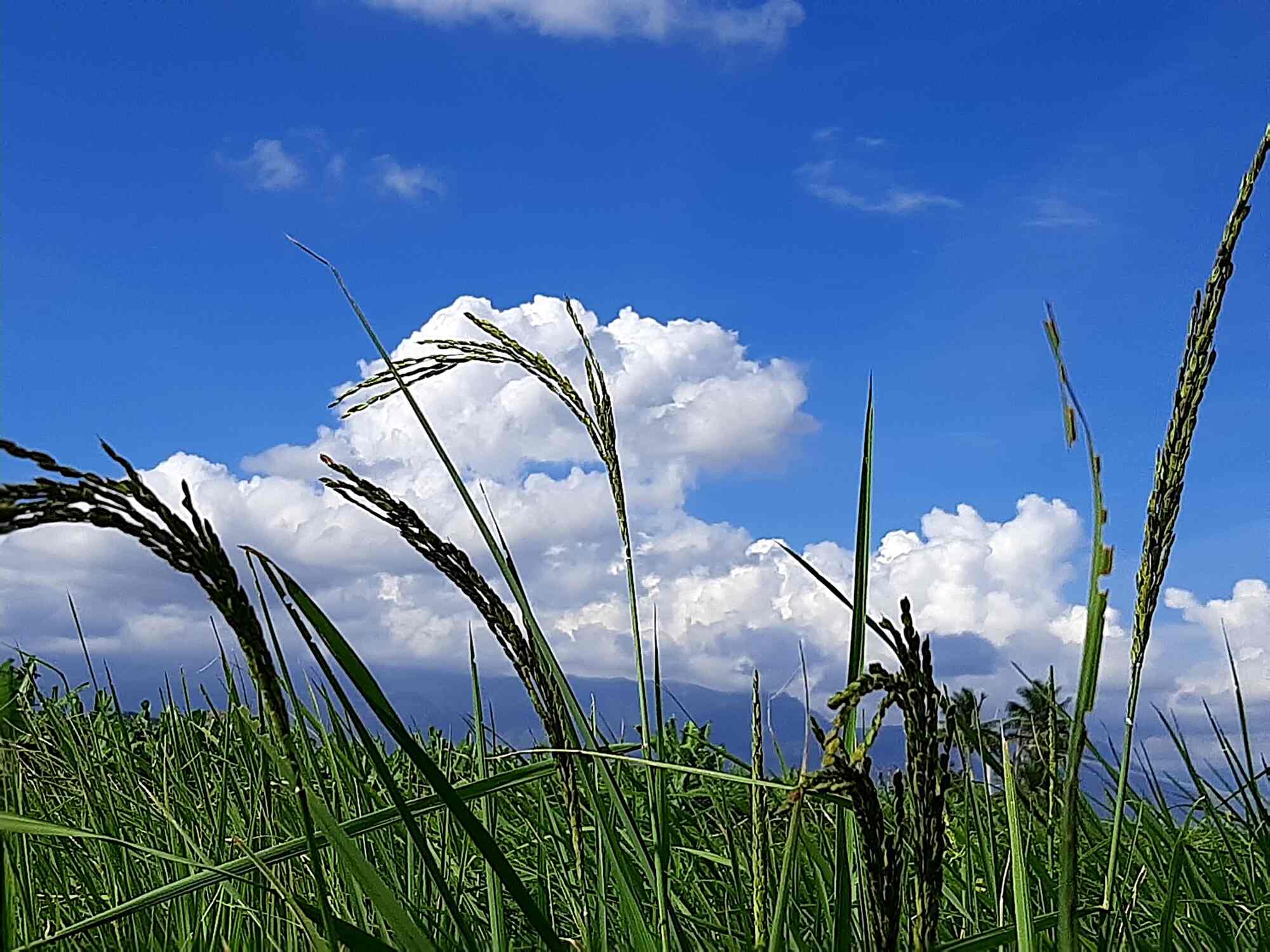 Top Organic Food Retailers in Theni near me Justdial