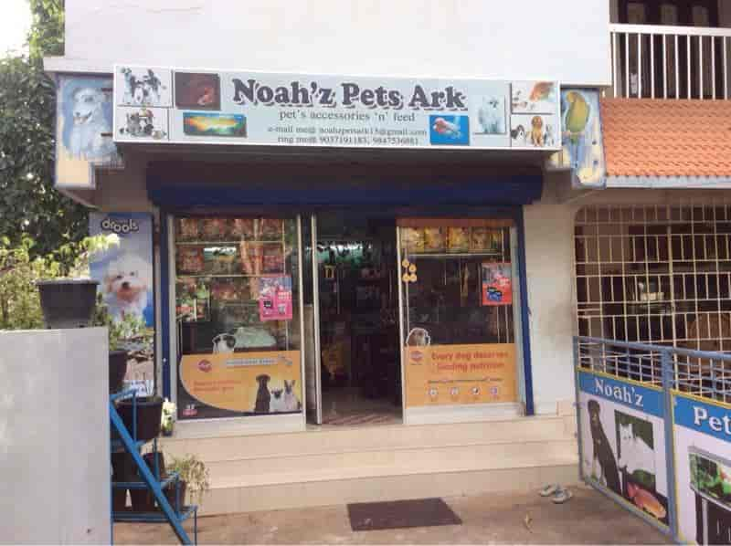 Kichoos pet outlet shop