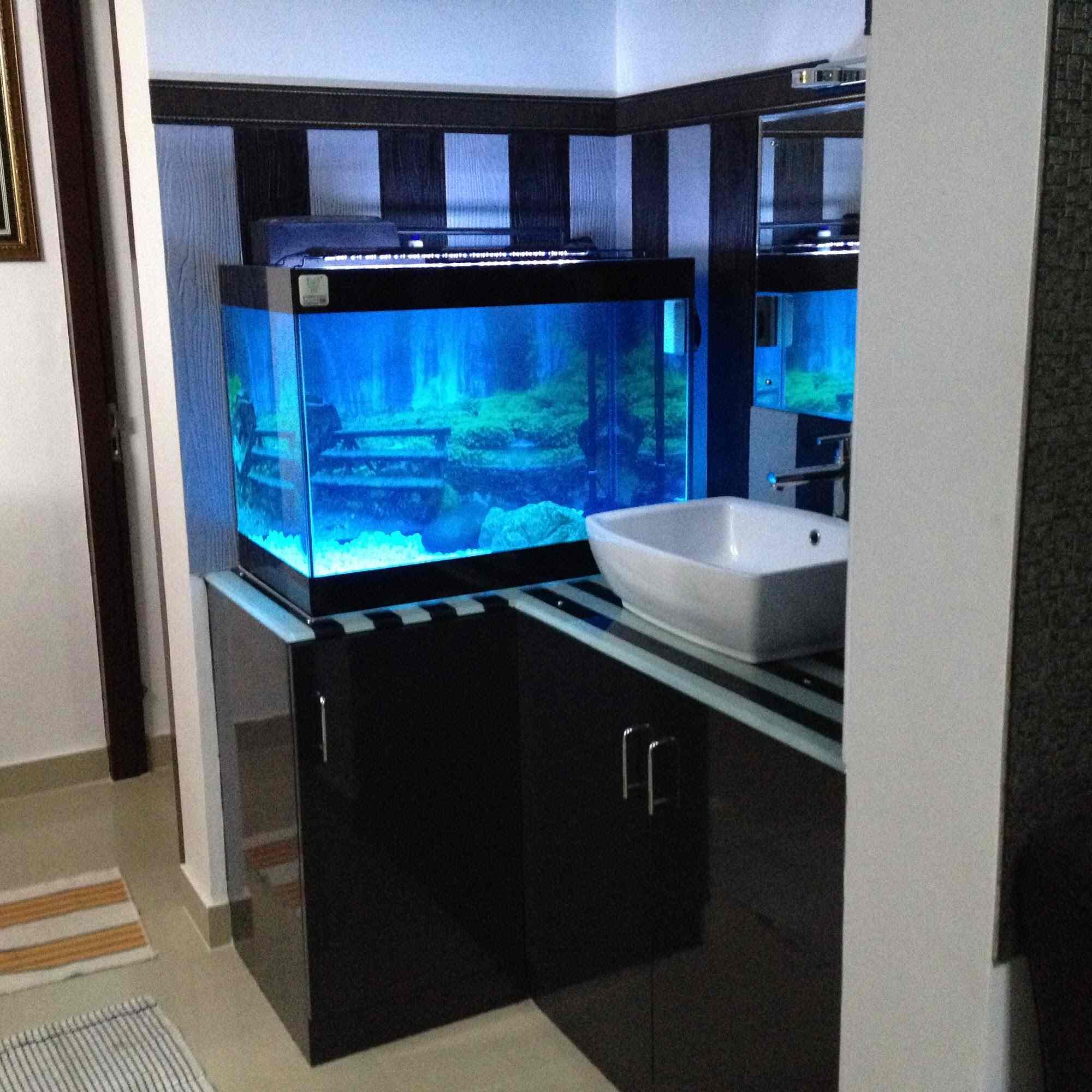 Top Pet Shops in Trivandrum Best Pet Store near me Justdial