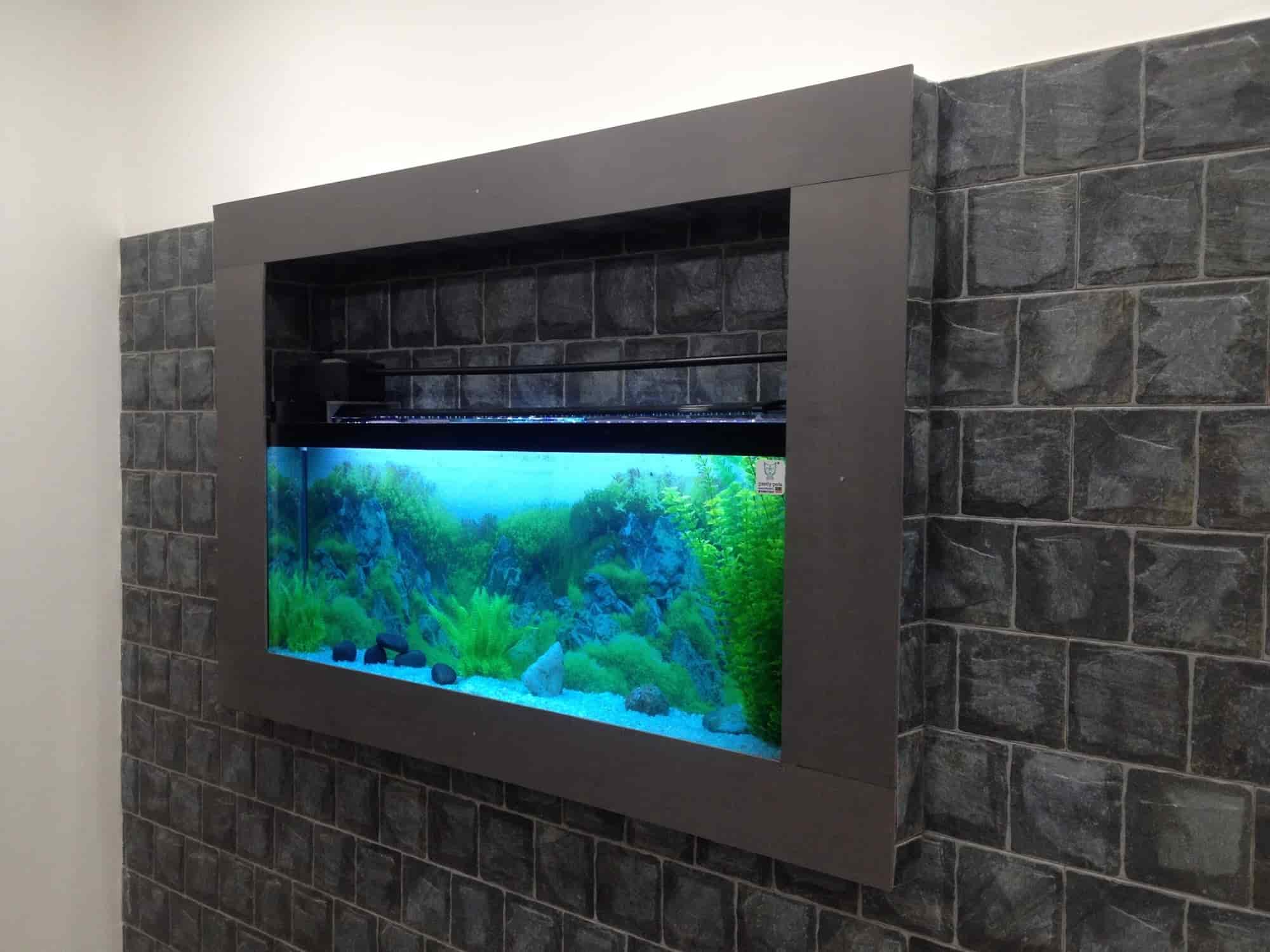 Top Pet Shops in Trivandrum Best Pet Store near me Justdial