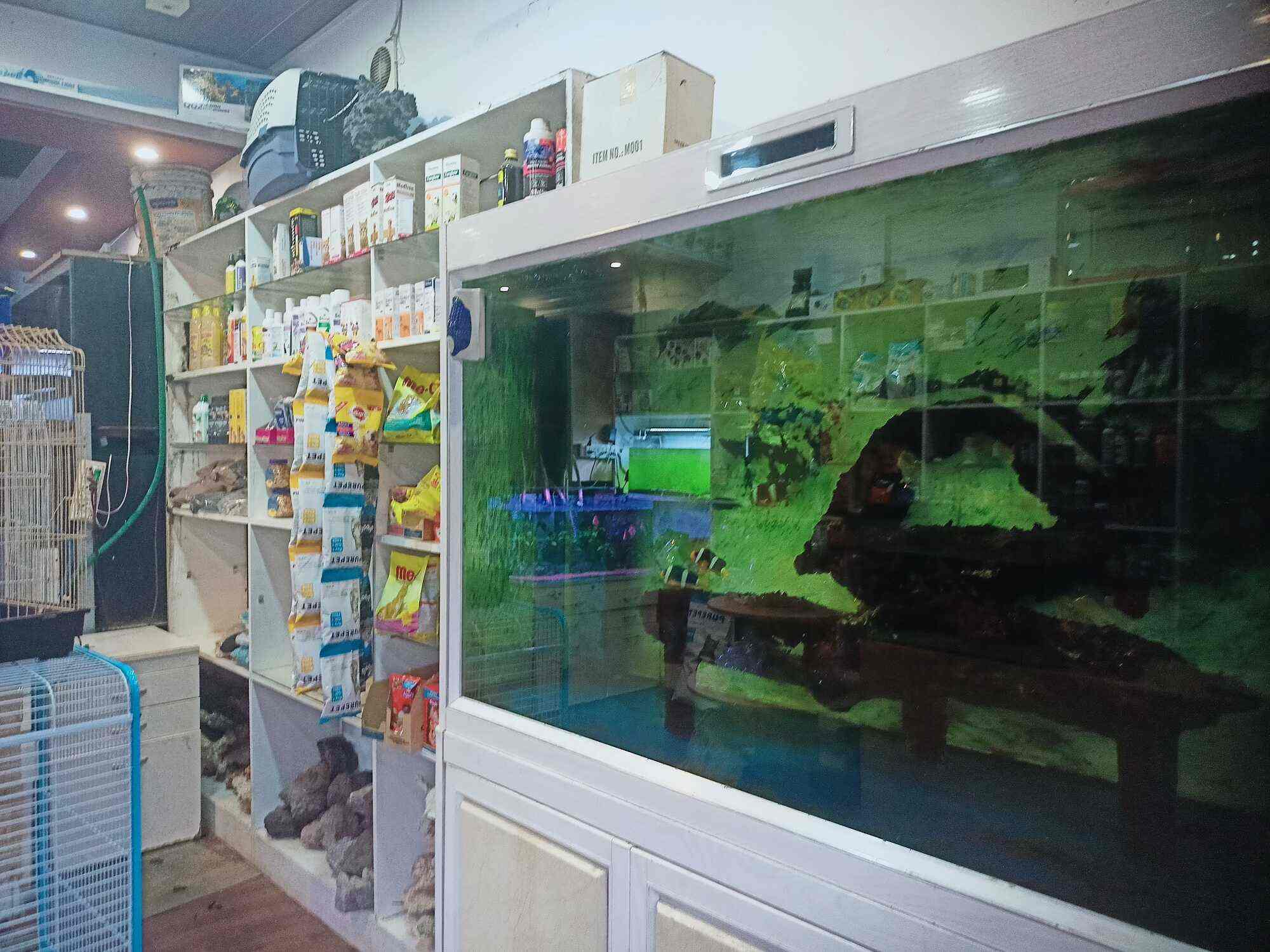 Marine Wonder in Nalanchira Thiruvananthapuram Best Pet Shops near me in Thiruvananthapuram Justdial