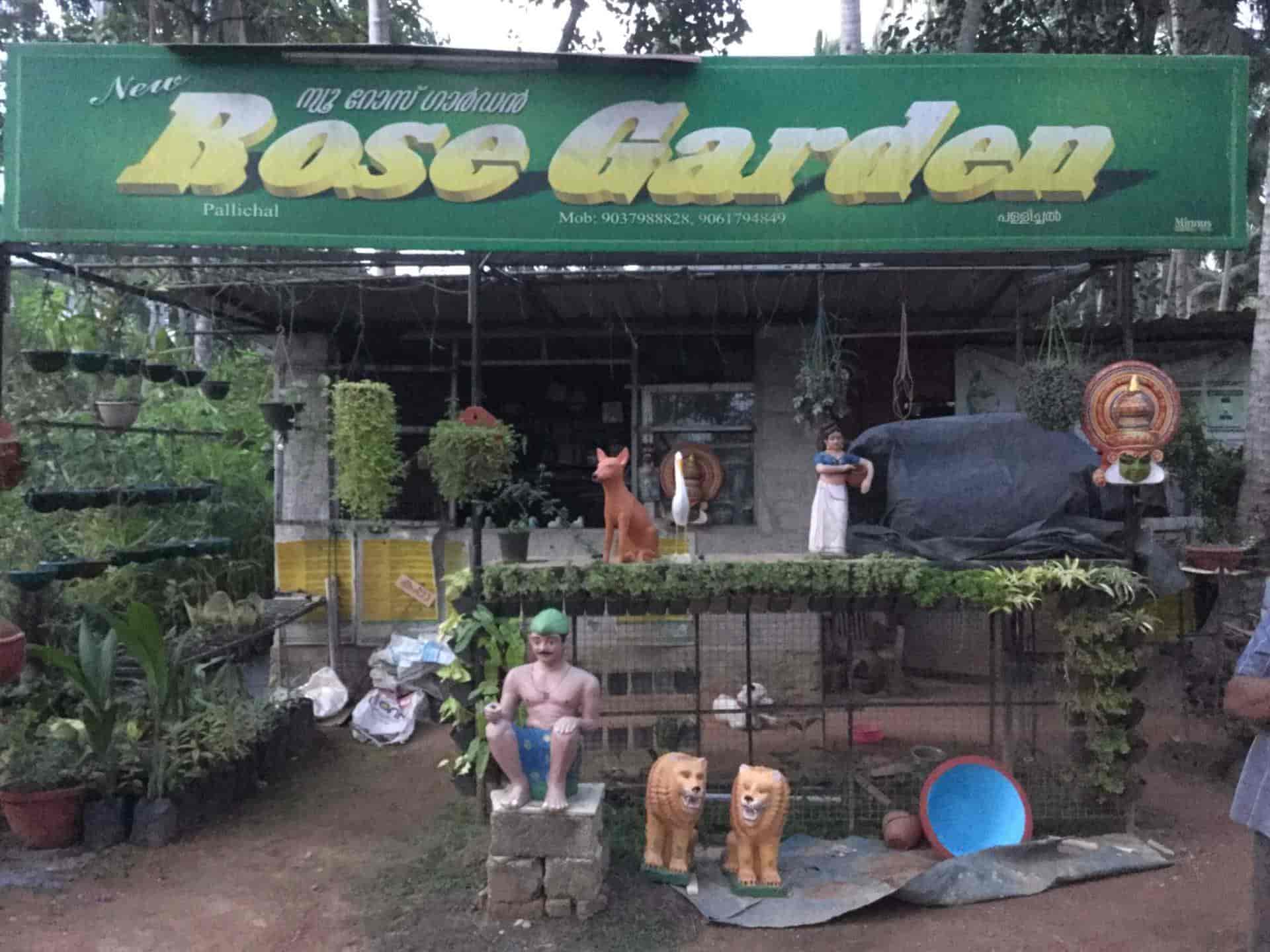 Top Tree Nurseries in Neyyattinkara Best Nursery Tree Creepers