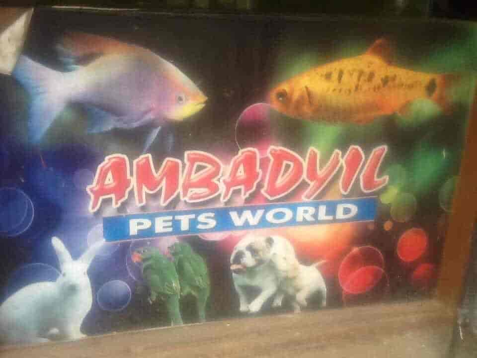 Manz cockatiel aquarium and pets shop sales