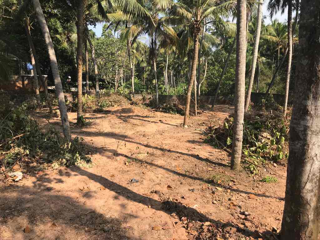 Top Estate Agents For Residence in Karamana Best Property Dealers