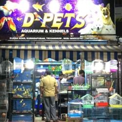 Poojappura aquarium best sale