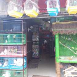 Manz cockatiel aquarium and pets shop sales