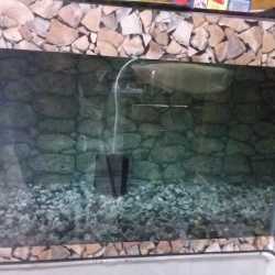 Manz cockatiel aquarium deals and pets shop