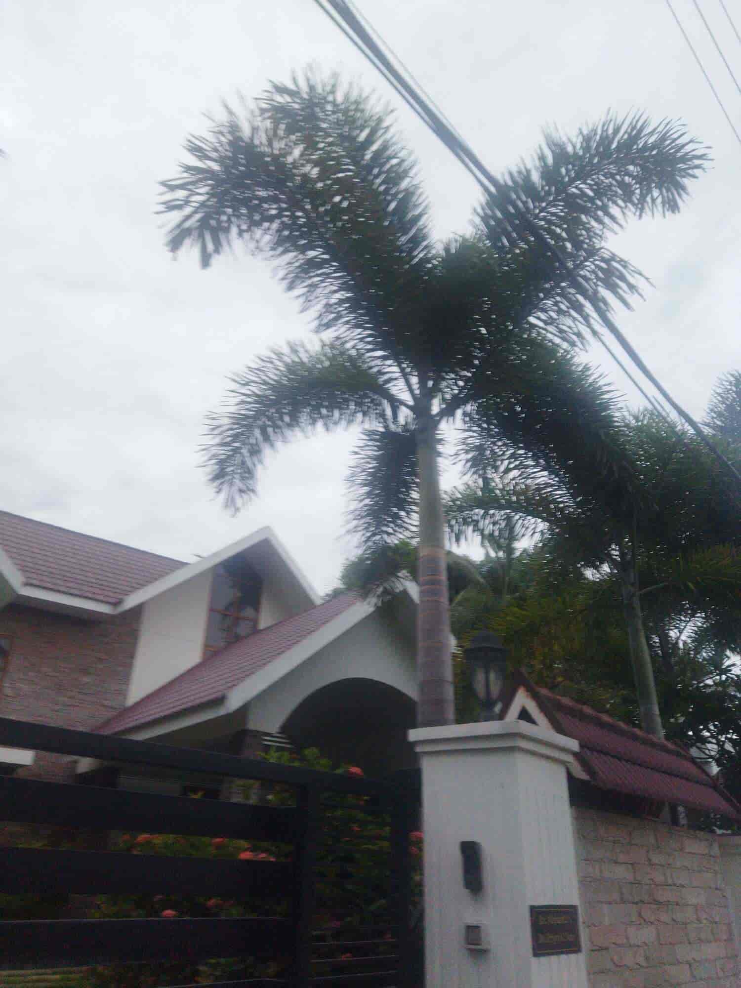 Immigration Consultants In Trivandrum Top Immigration Consultancy Services in Thiruvananthapuram - Best