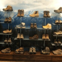 Woodland showroom best sale pattom