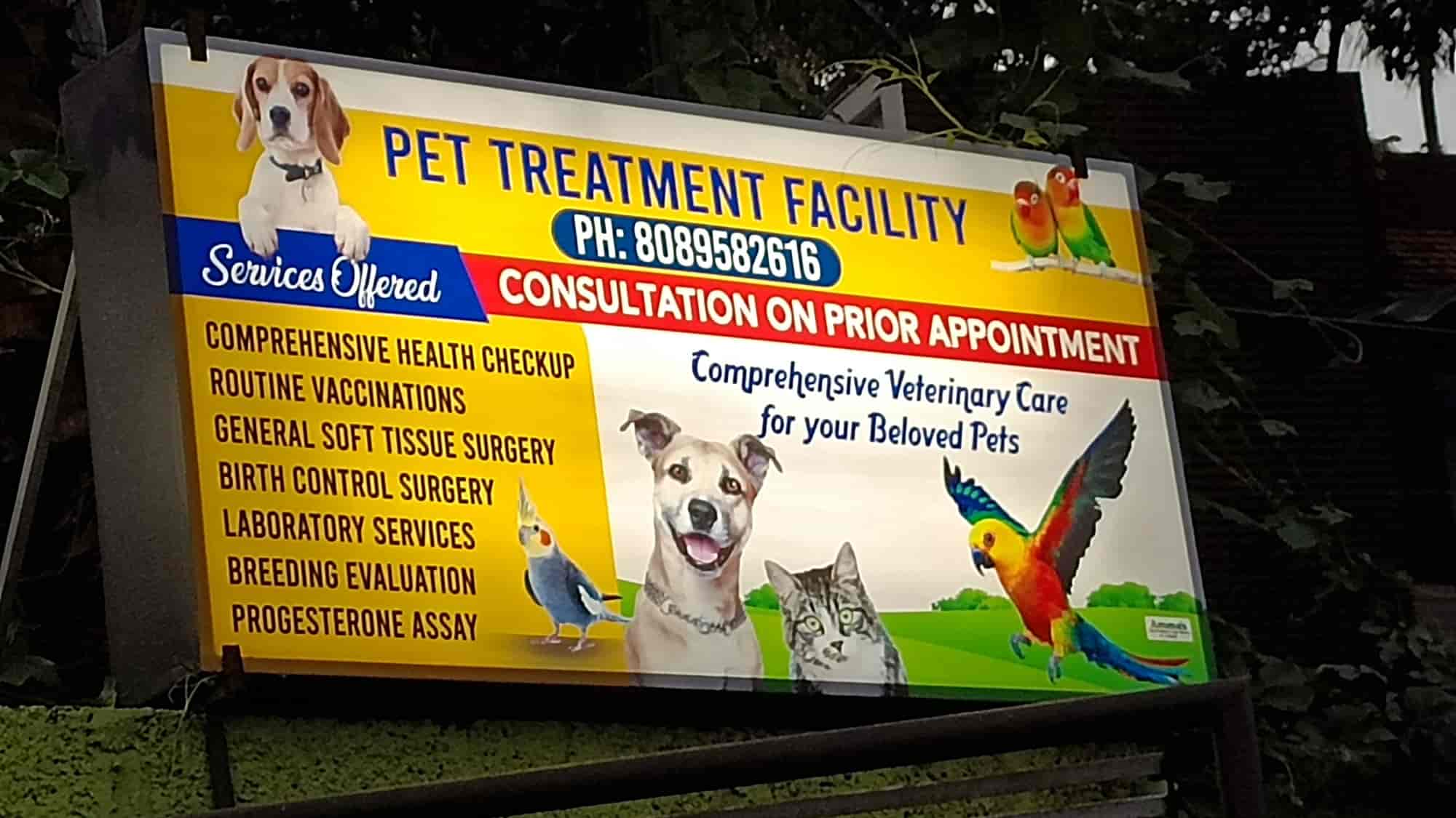 Mobile Vet Veterinarian Near Me Cat Mobile Pet Vet Clinic Pet Vet