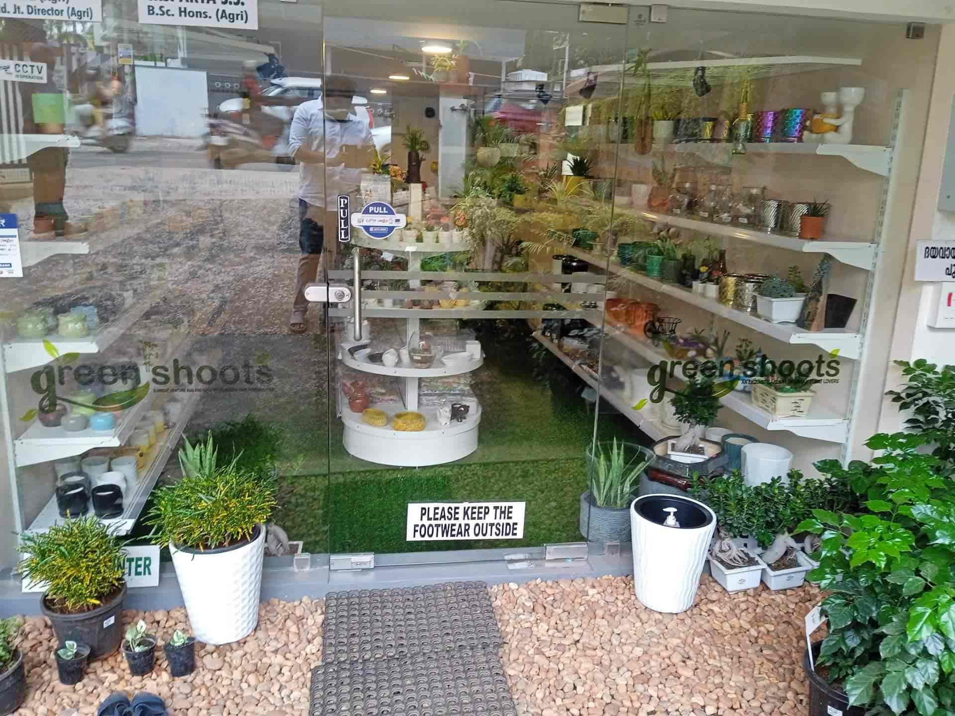Green Shoots in Muttada,Thiruvananthapuram Best Plant Nurseries in