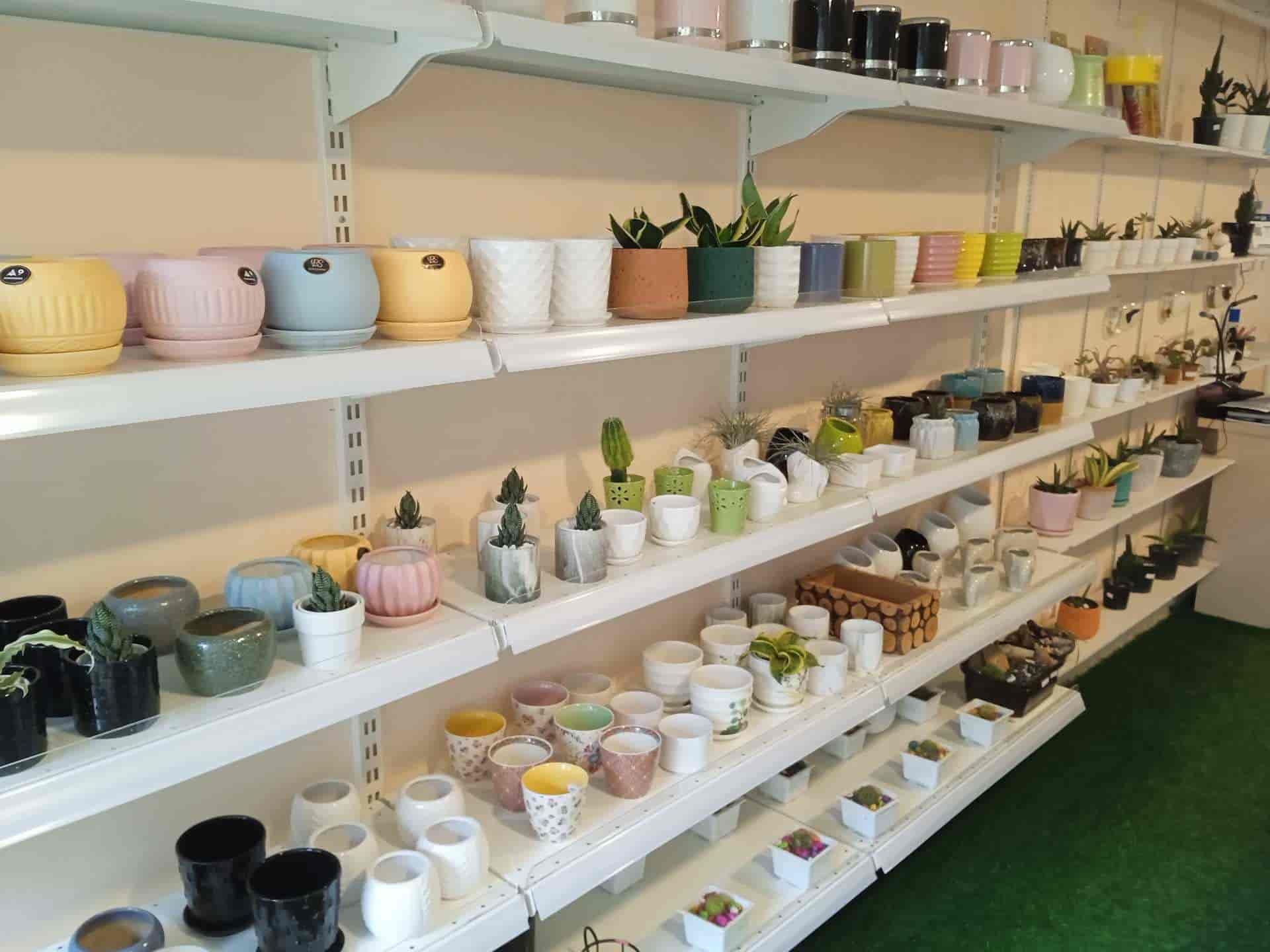 Green Shoots in Muttada,Thiruvananthapuram Best Plant Nurseries in