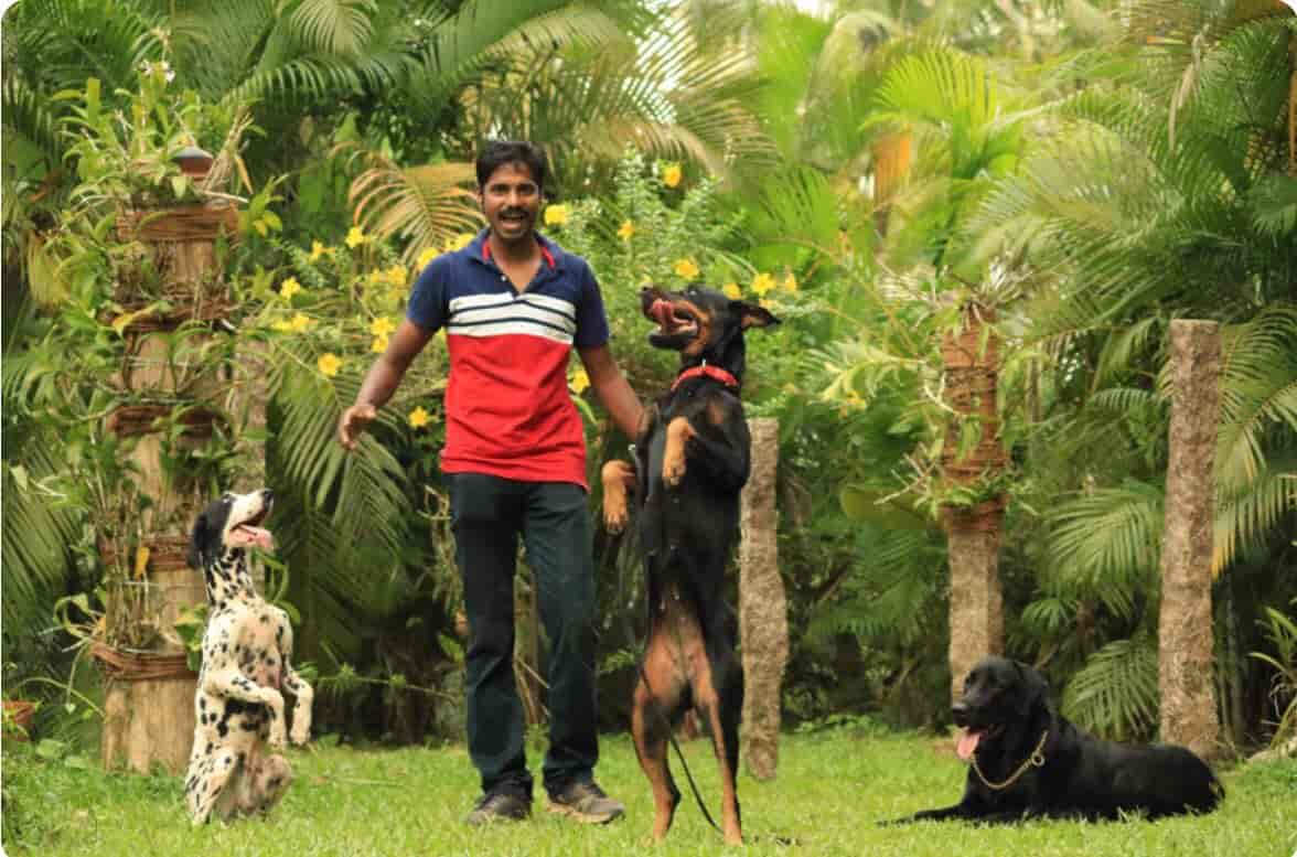 enforce k9 training school