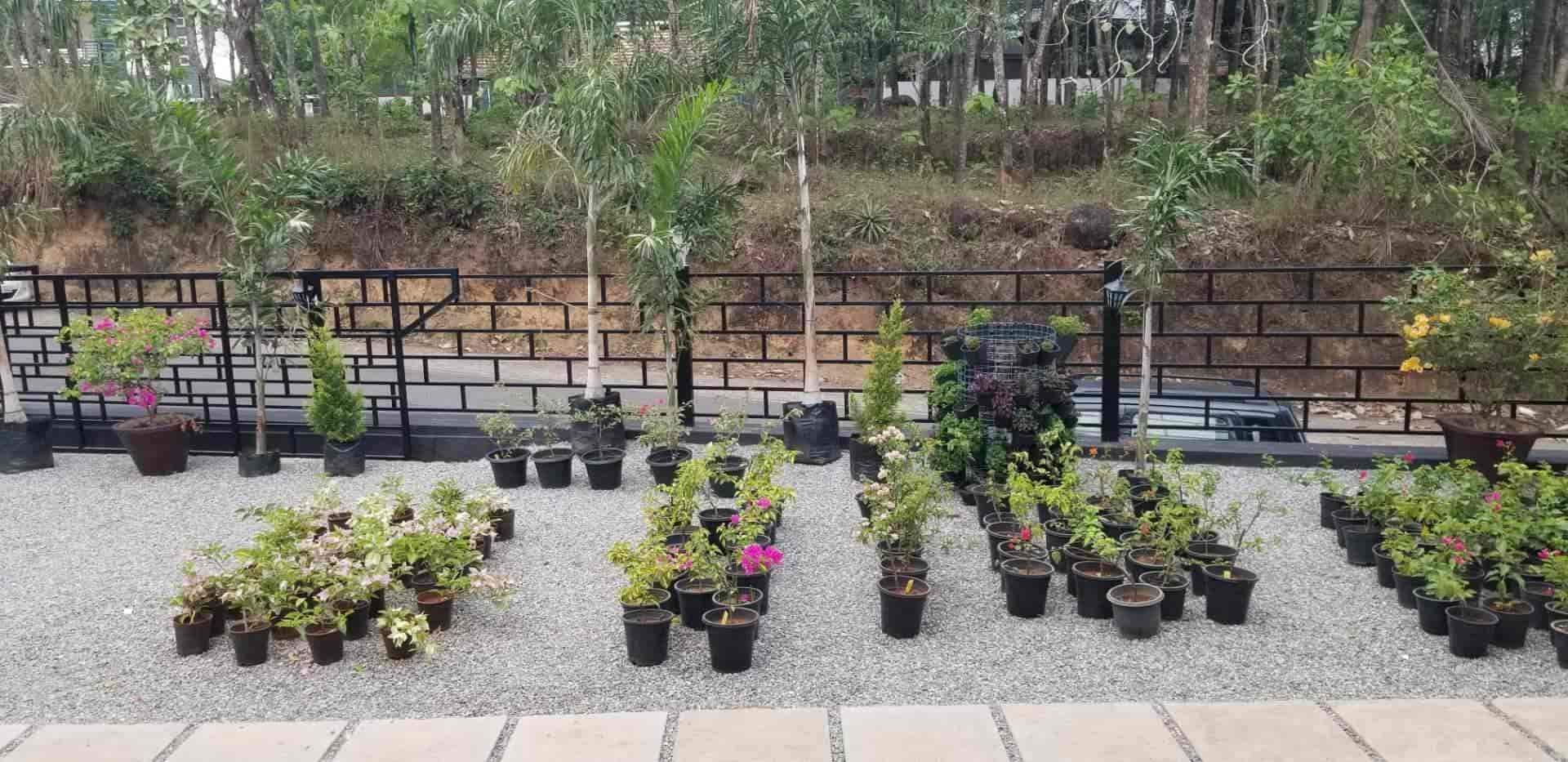 Pinnacle Green House in Pallikkal Kilimanoor,Thiruvananthapuram Best