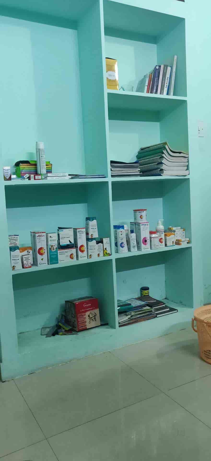 Top Pet Care Takers in Mannuthy Best Dog Care Takers Thrissur near me