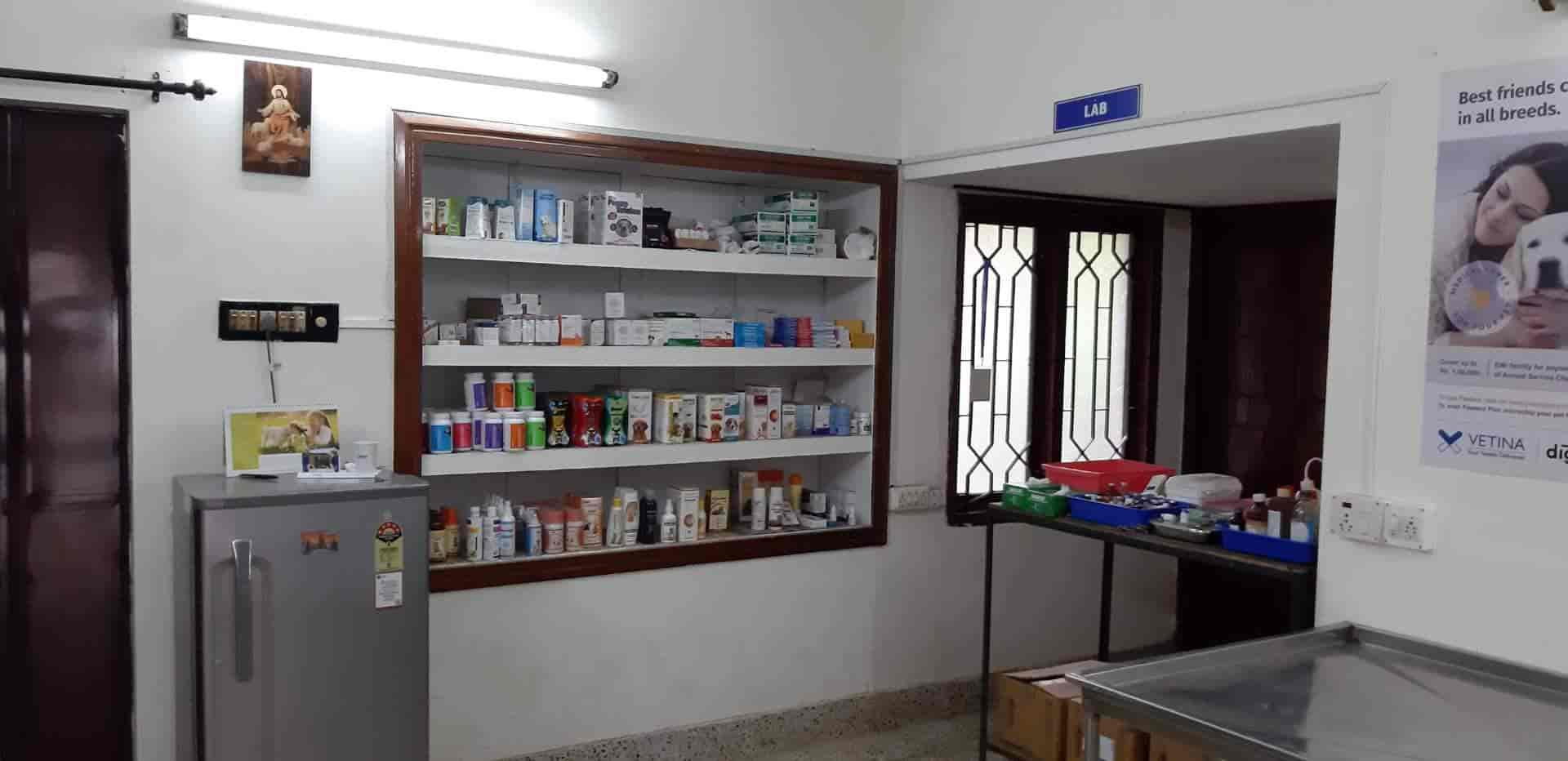 Top Pet Care Takers in Viyyur Best Dog Care Takers Thrissur near me