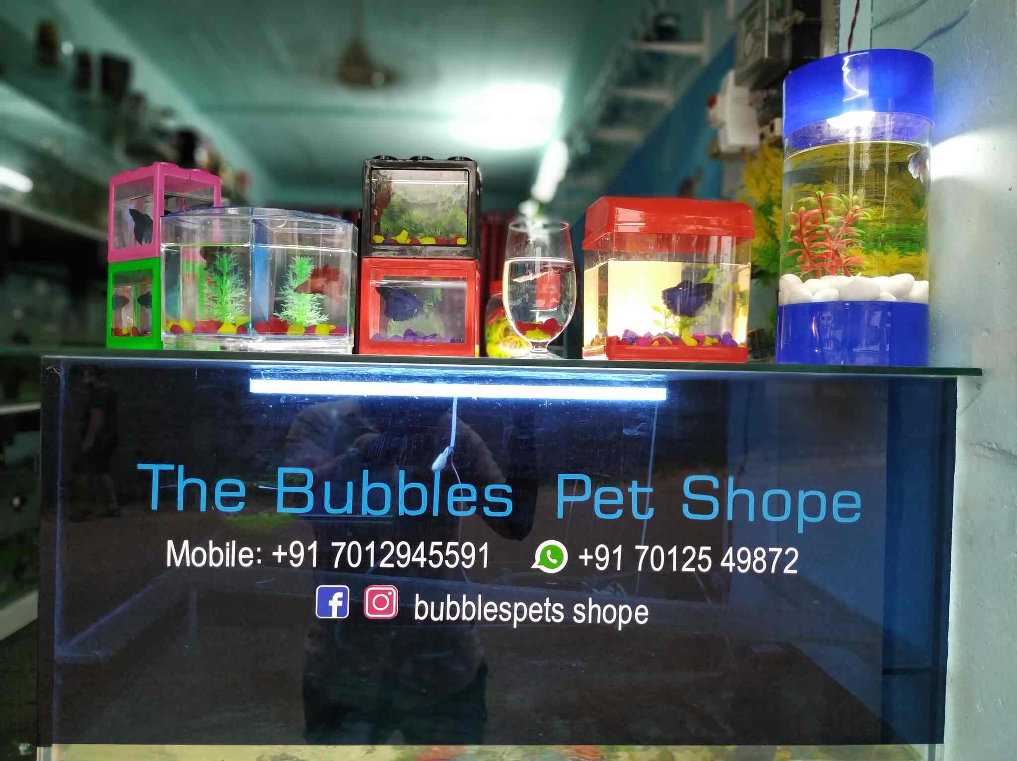 The Bubbles Pet Shope Astamichira, Annallur Pet Shops in Thrissur